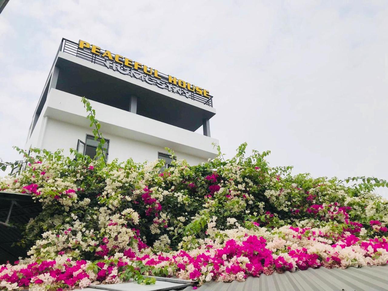 Peaceful House Hostel ด่งเฮ้ย ภายนอก รูปภาพ